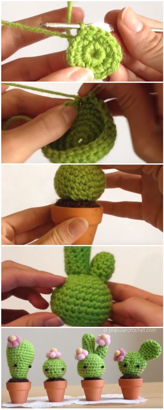Cute Cactus Amigurumi Crochet