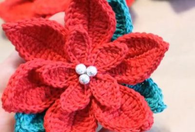Crochet Christmas Poinsettia 1