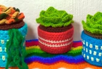 Succulents Crochet plant 1