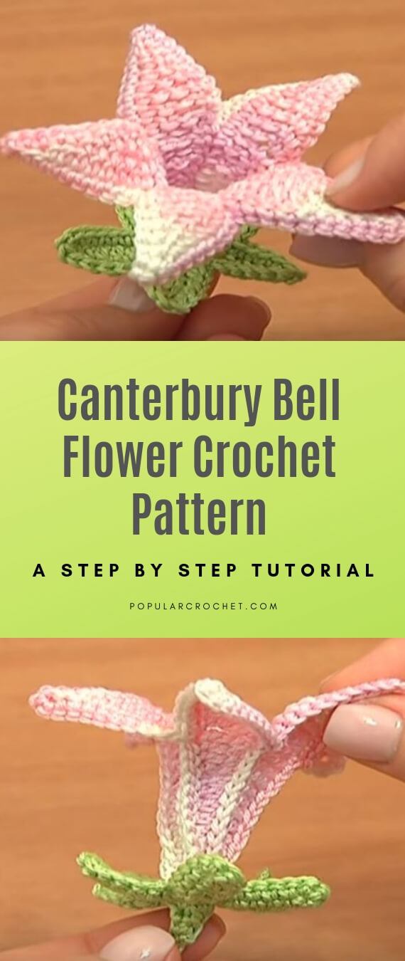 Canterbury Bell Flower Crochet pattern popularcrochet.com #popularcrochet #crochet #canterburybell #flowercrochet #freecrochetpattern 